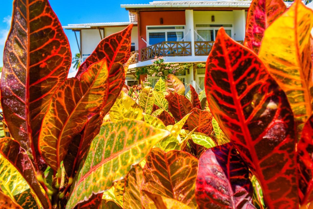 Pousada Marceneiro Sao Miguel dos Milagres Luaran gambar